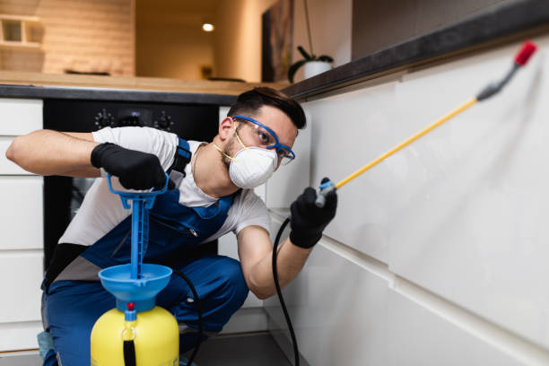 Best Flea Control Services  in Baldwin, FL