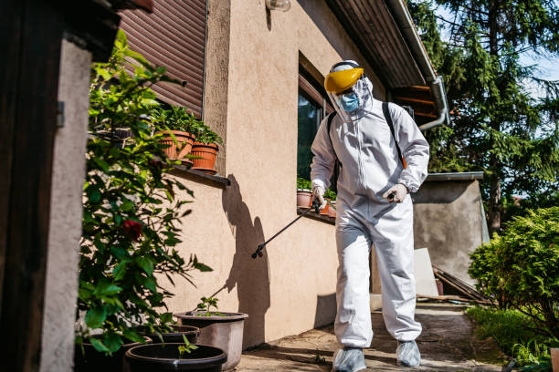 Best Pest Control for Homes  in Baldwin, FL