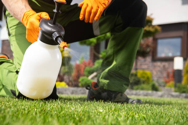 Best Pest Inspection Near Me  in Baldwin, FL