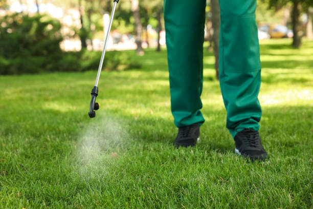Professional Pest Control in Baldwin, FL