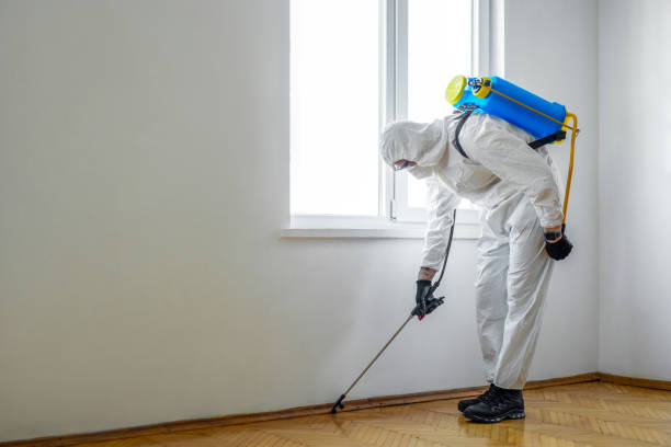 Best Affordable Pest Control Services  in Baldwin, FL