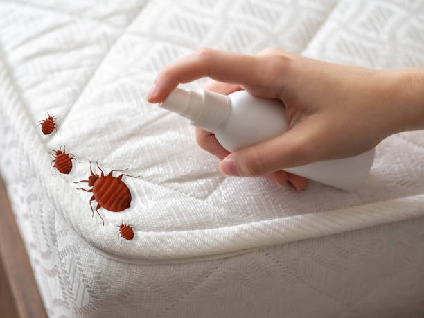 Best Pest Control Near Me  in Baldwin, FL