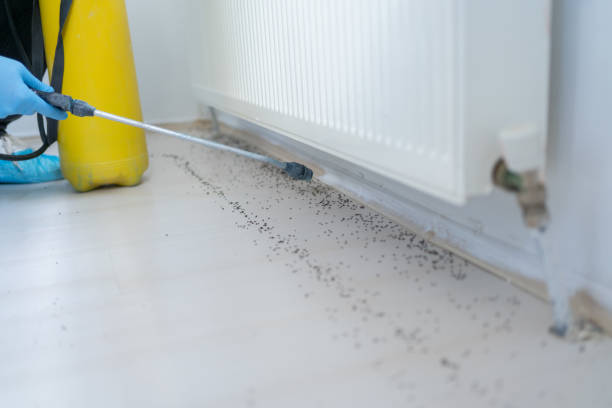 Best Mosquito Control Services  in Baldwin, FL