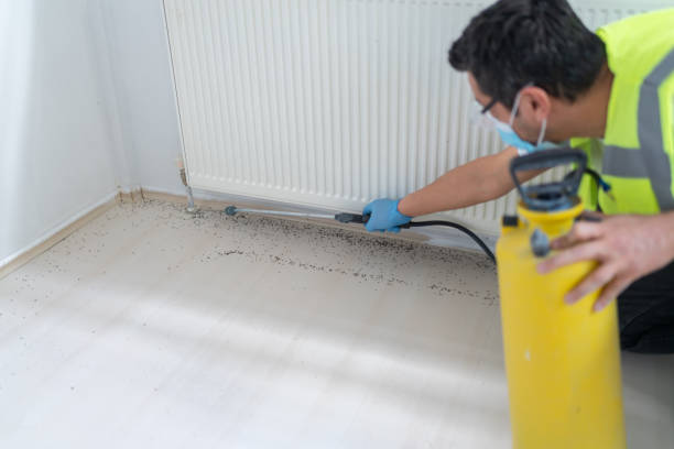 Best Cockroach Control Services  in Baldwin, FL