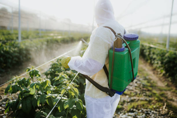 Best Wasp Removal Services  in Baldwin, FL